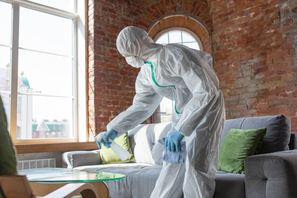 Professional Mold Removal & Remediation in Wanakah, NY