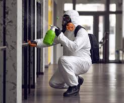 Mold Remediation for Rental Properties in Wanakah, NY